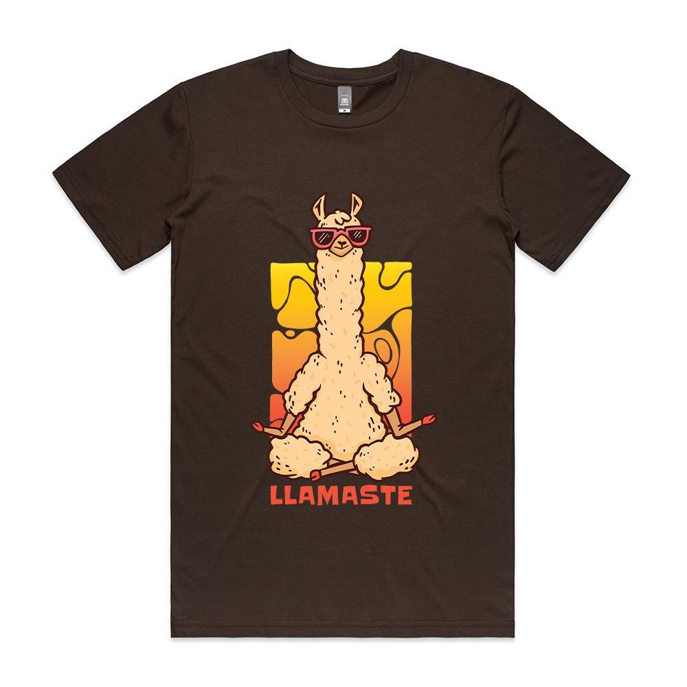 Llamaste T - shirt - ThreadGods