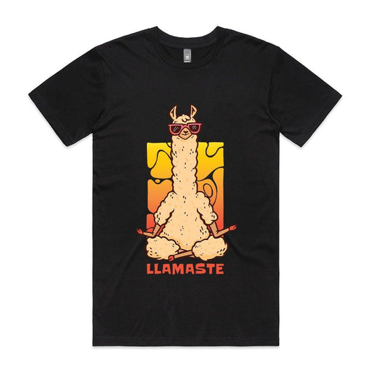 Llamaste T - shirt - ThreadGods